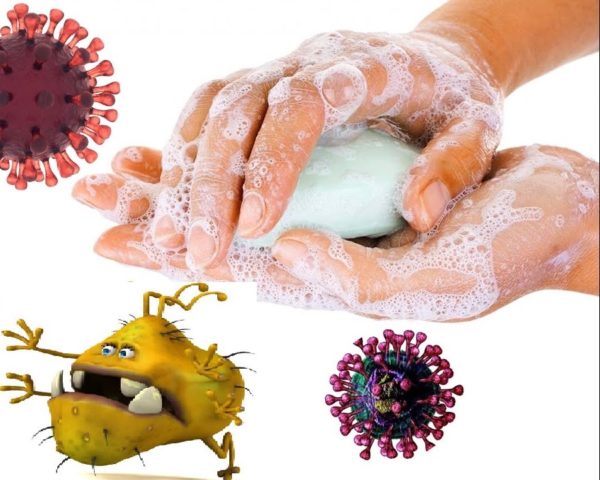 Мыло и бактерии
