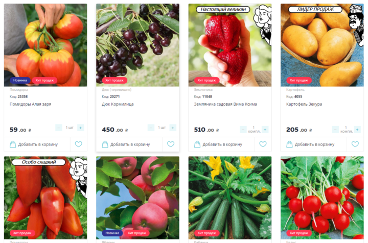Как правильно выбрать и заказать семена на сайте “Сады России”