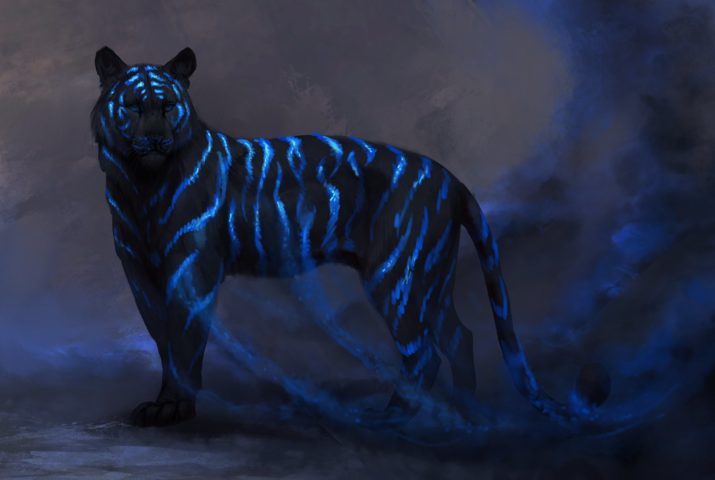 Синий тигр 